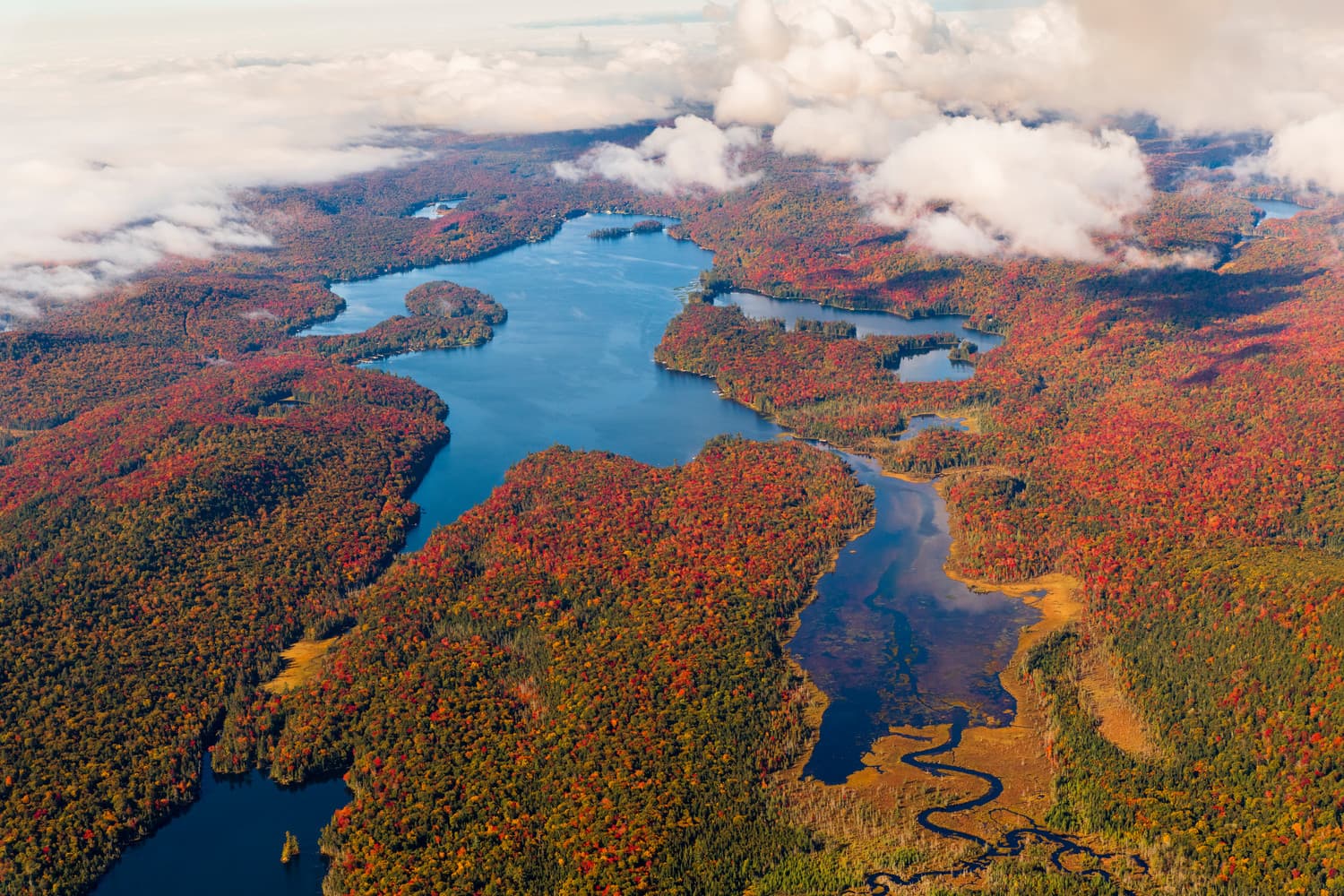 Poster Presentations Wallpaper